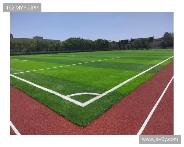 阜新足球场地建设与发展探索促进地方体育文化活力提升